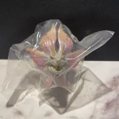 一番くじ モンスターハンターワイルズ モンスターヘッドマグネット　タマミツネ