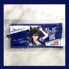 【ウマ娘】ミニ応援タオルキーホルダー　Vol.2 ヴィブロス リアルガチャ
