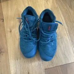 Item thumbnail for item 517e21e1-e7c8-41b8-ae14-acb079b8f71e