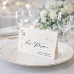 Item thumbnail for item adea916f-4a2b-44e6-911c-d7f9067027c9