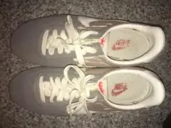 Item thumbnail for item 1519ae6a-641a-4670-82e2-1c0026d3115c