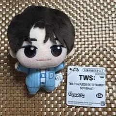 2026年最新】Tws シニュ ぬいぐるみの人気アイテム - メルカリ