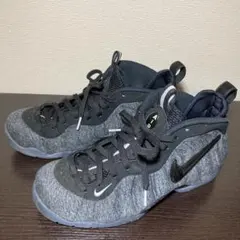 ナイキ Nike Foamposite 27cm ブラック グレー