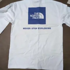 THE NORTH FACE ザ・ノース・フェイス 長袖 ロンT