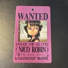 ONE PIECE ニコ・ロビン メタルプレート 手配書
