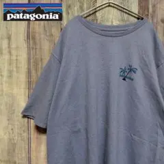 patagonia pataloha パタゴニア パタロハ Tシャツ ハワイのサムネイル