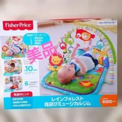 【美品】Fisher-Price レインフォレスト指遊びミュージカルジム電池付き