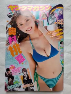 ヤングマガジン No.43 奥村桃夏