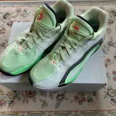 jordan luka 4 pf ルカ4
