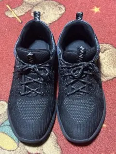 Item thumbnail for item d7ce8fda-0b00-4cd1-8b9b-2bbf7574c7b8