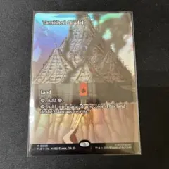 Item thumbnail for item 74135b6d-53cd-4d82-9131-cac48b6b1d81