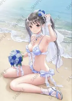 BLUEREFLECTION　Quartet ゲーマーズ特典　タペストリー