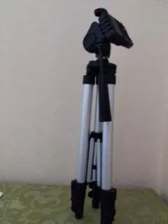 Item thumbnail for item 81fe2762-489e-407a-a4a8-7e0c0ba51aed