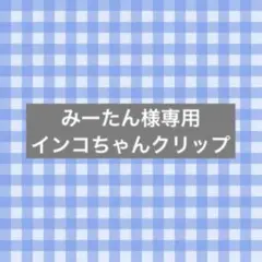 みーたん様専用　インコちゃんクリップペット　ミニインコ