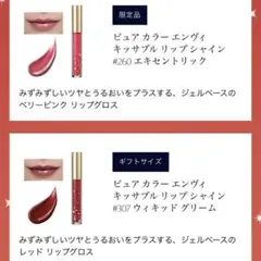 ESTEE LAUDER エスティローダー クリスマスコフレ リップ 2本セット