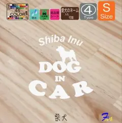 Item thumbnail for item 95aff00a-4b19-4790-8306-ab3fb868fc0e