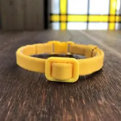 Item thumbnail for item e84cfa2b-ffae-46f8-8a29-ebfb453ccd6d