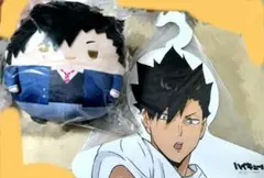 ハイキュー ふわコロりん M 黒尾鉄朗 制服ver ハンガー　合同練習会