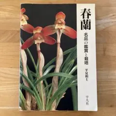 2026年最新】春蘭 日本春蘭の人気アイテム - メルカリ
