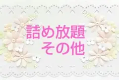 詰め放題　その他①
