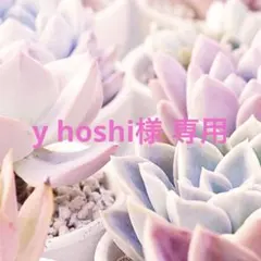 y hoshi様 リクエスト 2点 まとめ商品