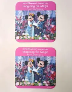 東京ディズニーシー コースター 蜷川実花 Imagining the Magicのサムネイル