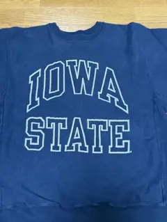 レアプリント！！90sチャンピオンリバースウィーブ