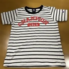 Champion ストライプ Tシャツ