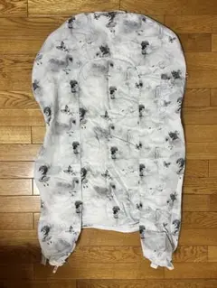 Item thumbnail for item 49ff0c6f-186b-42be-a9aa-54eb54eee221