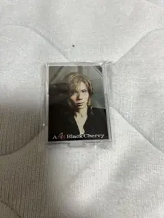 Acid Black Cherry 台座付きプレート