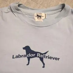 Labrador puppy Tシャツのサムネイル