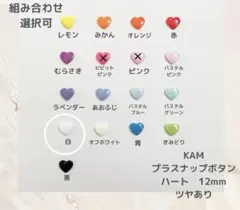 KAMプラスナップボタン　可愛いボタン　６０組