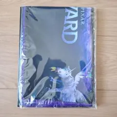 ピクサー くじ PIXAR ディズニー I賞 2分の1の魔法 ポスター