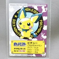 激レア ポケモンセンターヨコハマ オープン記念 パスネット 台紙付き