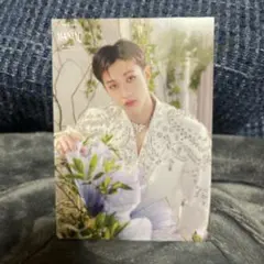 straykids MANIAC ランダムトレカ バンチャン