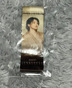 SEVENTEEN 過去グッズ　ウジ