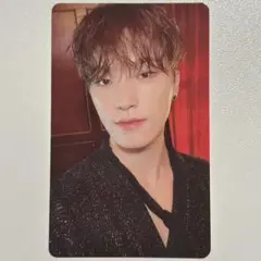 SEVENTEEN シーグリ 2023 ディノ トレカ ③