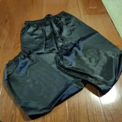 Item thumbnail for item 56de9455-602b-4b7a-8f24-04444bd6a30d