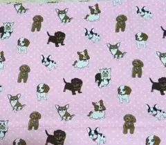犬柄 生地 ピンク コスモテキスタイル
