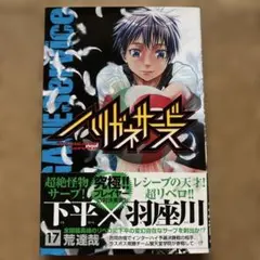 【即発送/即購入OK/まとめ割有】ハリガネサービス 17
