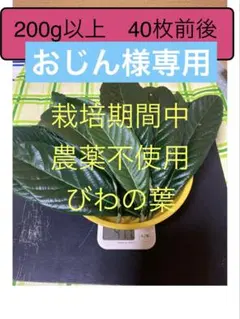 おじん様専用　びわの葉　200gのサムネイル