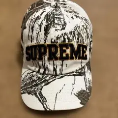2026年最新】supreme リアルツリー キャップの人気アイテム - メルカリ