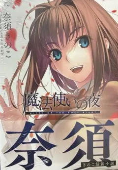 メロンブックス特典クリアファイル付】魔法使いの夜 上 星海社 - メルカリ