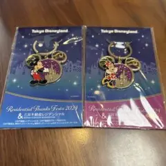 東京ディズニーランド キーホルダー 2個セット