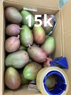 摘果マンゴー大きめ15k前後箱こみ - メルカリ
