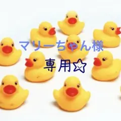 【マリーちゃん様】専用ページ　訳ありトマト