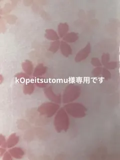 Item thumbnail for item a2d717e6-e781-4ee0-9ee1-fe2a1e609508