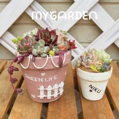 そのまま飾れる多肉植物★多肉植物寄せ植え★ミニ鉢と2点セット★リメイク鉢