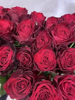 産地直送❗️＊赤バラの花束＊30㎝ 100本 ラッピング込 プロポーズ