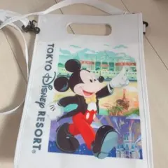 東京ディズニーリゾート バッグ ミッキー ミニー